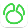 Navicat for MySQL 17.1.9 Mac中文破解版
