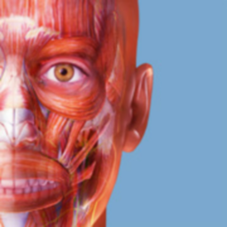 Visible Body Muscle Premium 7.1.56 Mac 破解版 肌肉和骨骼解剖教学软件