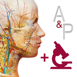 Anatomy and Physiology 6.2.07 Mac 中文破解版 解剖生理医学软件 人体系统的介绍