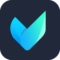 Vidmore Video Converter 2.3.60.20956 破解版