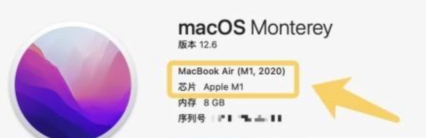 如何查看自己电脑的芯片，区分Intel和Apple芯片插图 1Mac软件下载