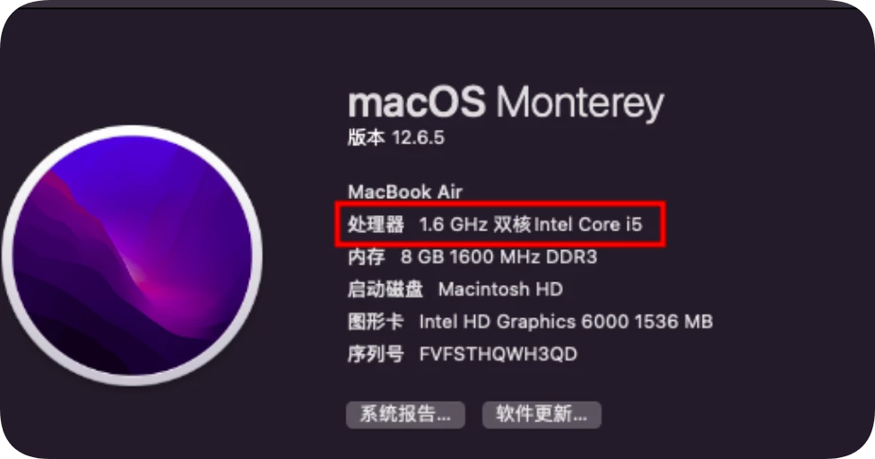 如何查看自己电脑的芯片，区分Intel和Apple芯片插图 Mac软件下载