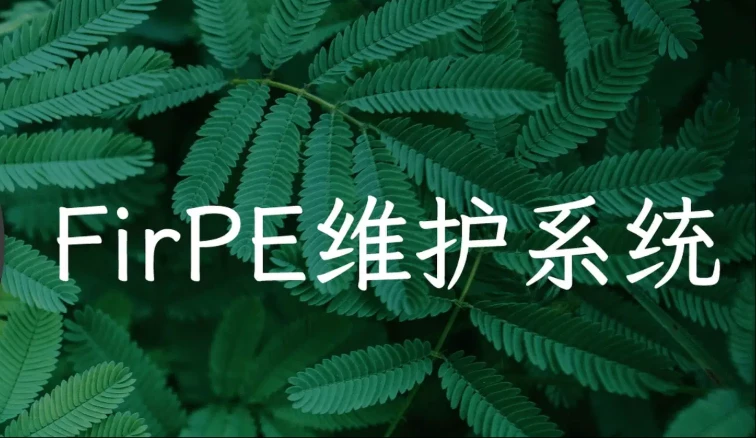 FirePE维护系统