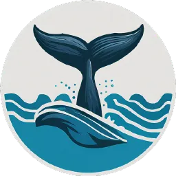 WhaleDown 2025.08.2 破解版 - 强大的在线视频与音频下载工具
